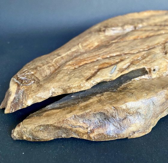 Image 1 of Organic Brutalist Wooden Wall Sculpture – Hand Carved Art Piece