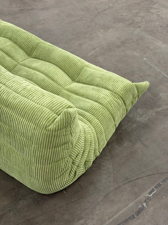 Image 1 of Linea Togo Rosette | Velluto a coste |
