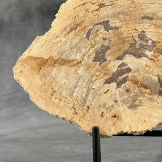 Image 1 of Bois fossilisé de Sooka, fabrication sur mesure standard (neuf)