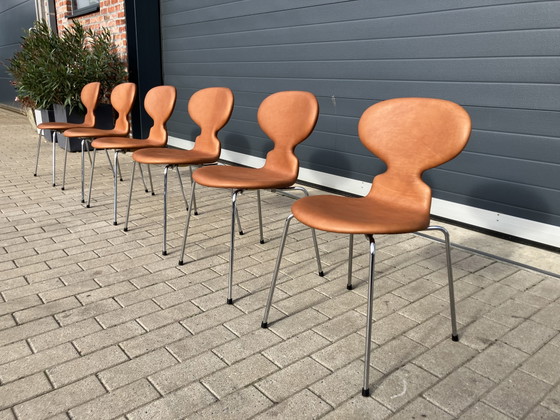 Image 1 of Fritz Hansen Ant (mier) chairs in Cognac leder NIEUWstaat!
