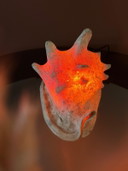 Casis Cornuta Helm Schelp Lamp