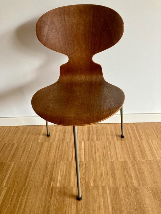 Image 1 of 2x silla Arne Jacobson Ant, originales ( años 50 )