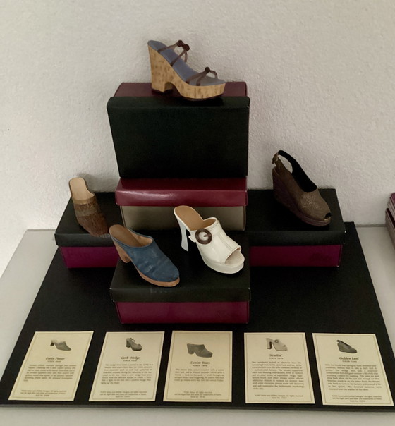 Image 1 of El calzado perfecto, 38 zapatos y botas