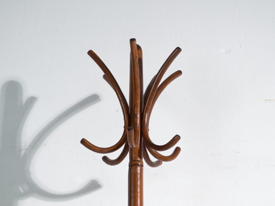 Bentwood Coat Stand in Beechwood – Austria-Hungary, Thonet Style, Circa 1900 – Coat racks, Metal (photo 13 of 36)