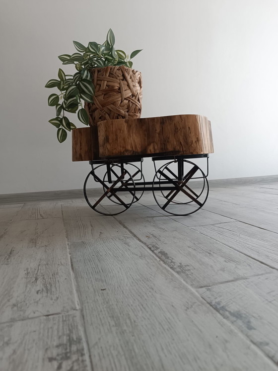 Image 1 of Acacia Ember – L’anima della natura preservata