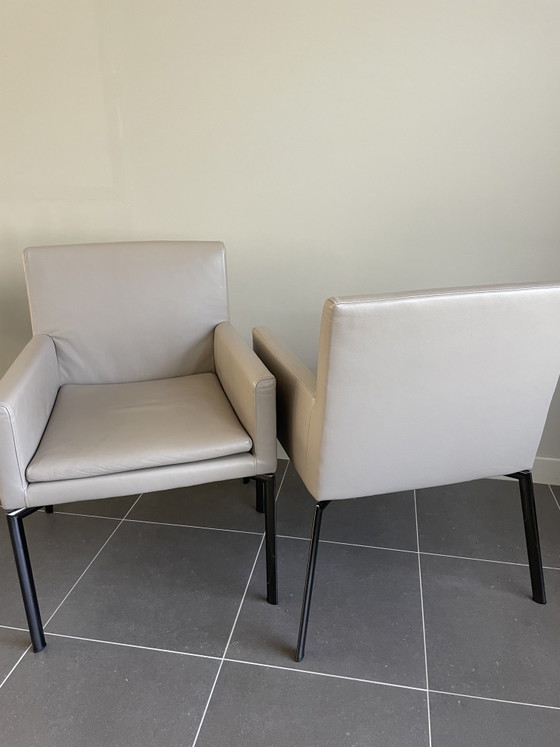 Sedie da pranzo Minotti (6x) Manet – Leather, Metal (photo 3 of 6)