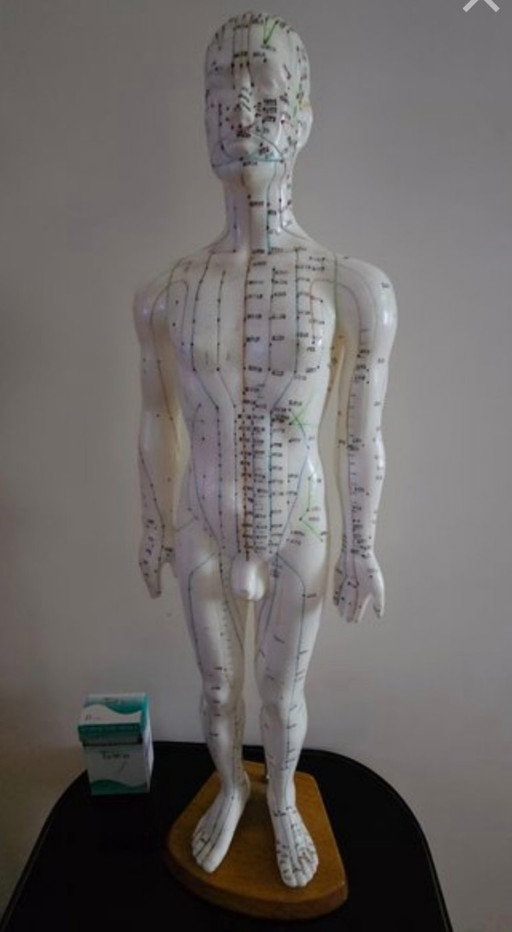 Mannequin d'acupuncture 1970
