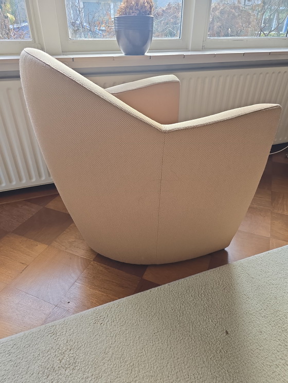 Image 1 of Leolux Carabita armchair