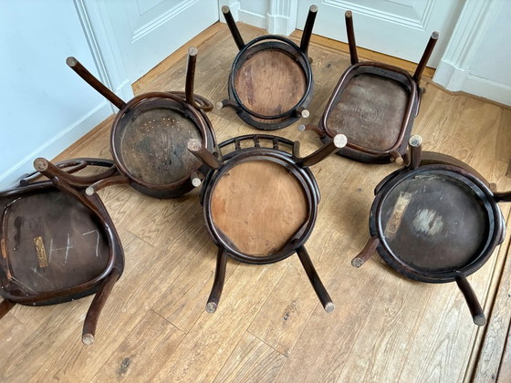 Image 1 of 6 sillas de comedor Thonet Mix-Match.