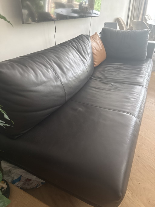 Design Aikon en cuir sur un modèle 4 places de série