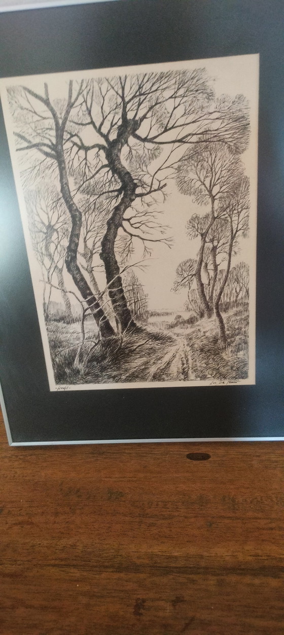 Image 1 of Disegno autunnale di Luc De Pauw