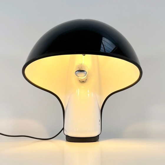 Image 1 of Albanella Table Lamp by Ermanno Lampa & Sergio Brazzoli for Harvey Guzzini, 1970