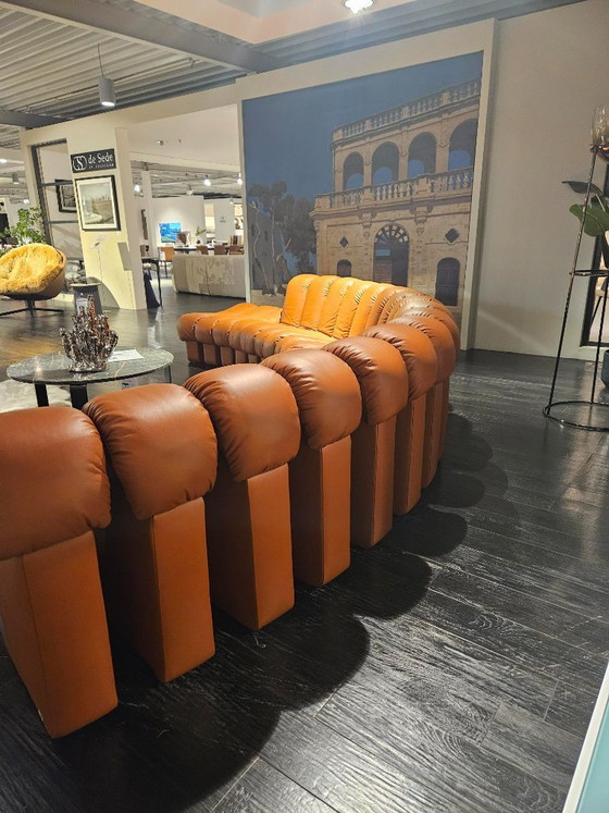 DeSede DS-600 Snake – Designikone in außergewöhnlich gutem Zustand! – de Sede, Ecksofas, Leather (photo 4 of 5)