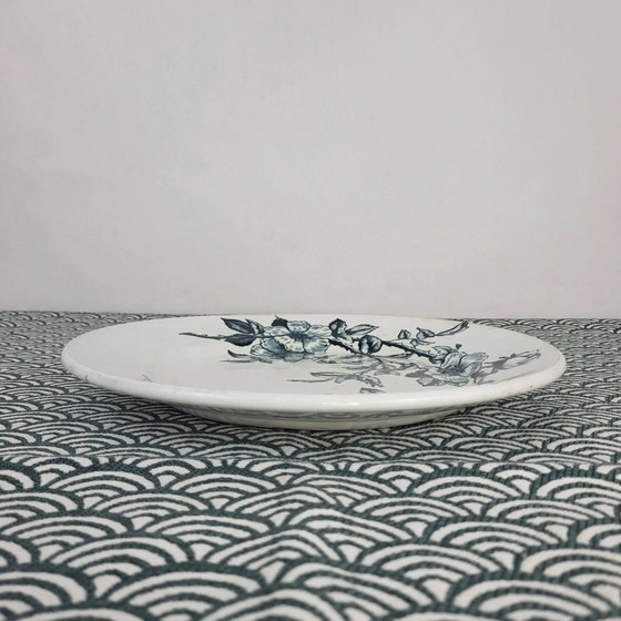 Piatto in maiolica Creil & Montereau, modello Rosa, XIX secolo – Stoviglie, Porcelain (photo 6 of 7)