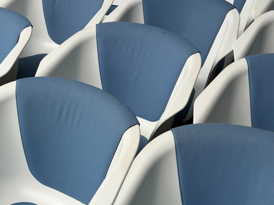 Silla Sedus On Spot Design con tapicería azul – Sillas auxiliares, Plastic, Wood (photo 11 of 11)