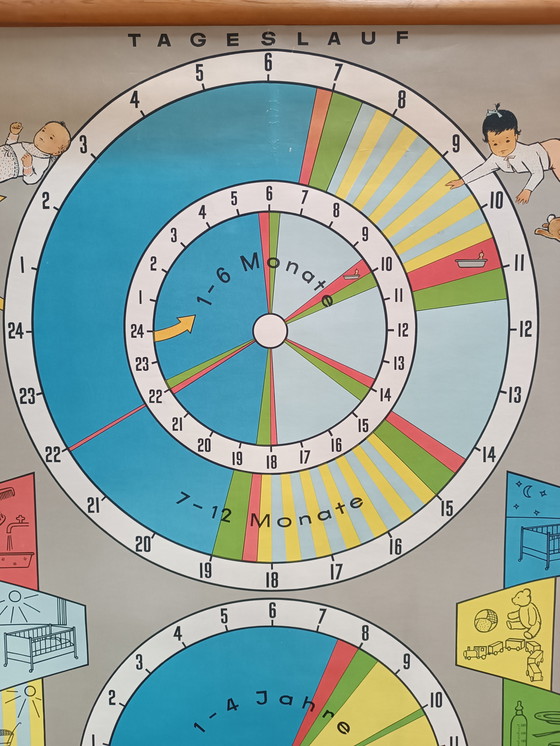 Image 1 of Vintage School Wall Chart - Child Development