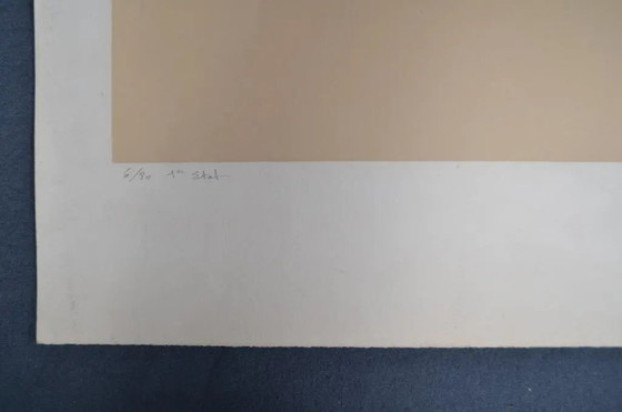 Litografía original de Frédéric Vidalens de los años 80, numerada 6/80, 1er estado y firmada por el artista (photo 7 of 9)