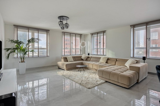 Image 1 of 8x Luxury taupe custom-made linden wood wooden blinds