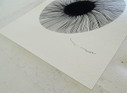 Tehos - Zwart Oog 2024 - BS2