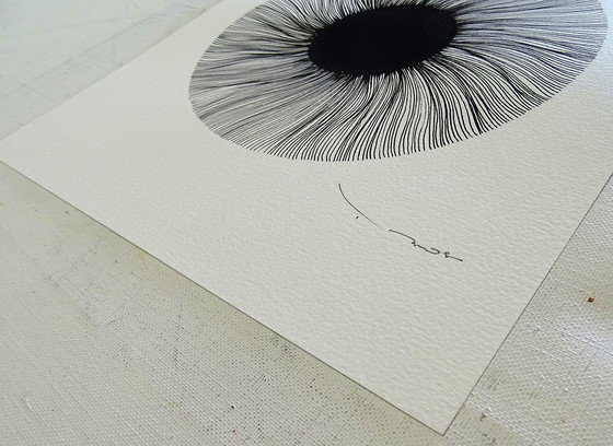 Image 1 of Tehos - Zwart Oog 2024 - BS2