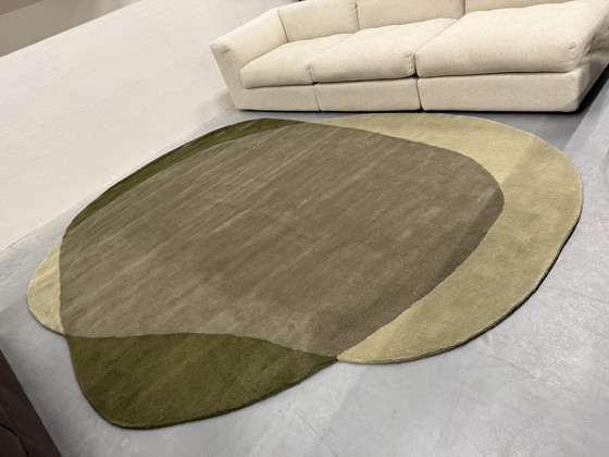 Image 1 of Brink En Campman Element Moore Tapis vert poussière 250X330