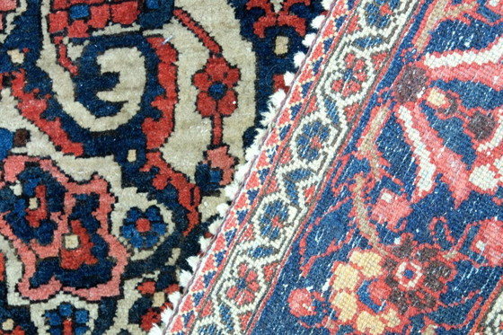 Image 1 of Beautiful Bachtiar from Iran