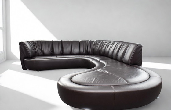 Image 1 of État neuf De Sede DS 1064 RIVER Living Landscape