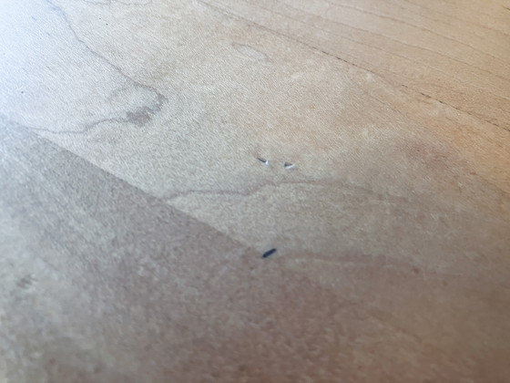 Image 1 of Arco Essenza Maple Dining Table