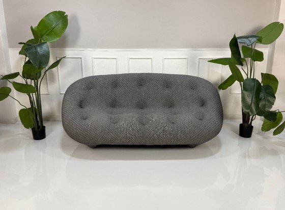 Image 1 of Ligne Roset Ploum Designer Sofa Gray Fabric