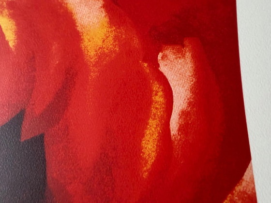 Image 1 of Georgia O’Keeffe (1887-1986), Oriental poppies, 1928, Copyright 1999- G.O’Keeffe/SOFAM Belgique editions  Pierre D’ Harville...,