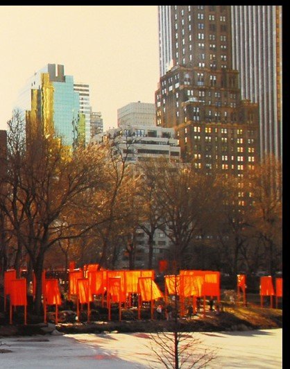 Image 1 of Christo - The Gates - New York Central Park - offset a colori, foto W. Volz