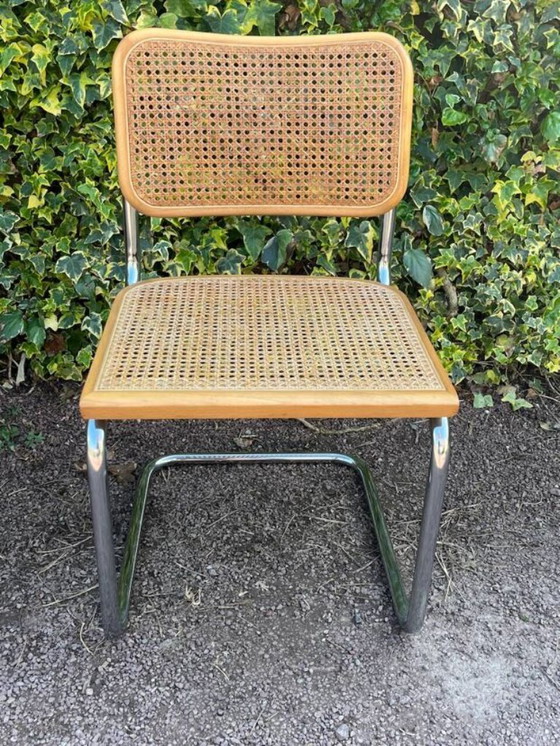 Image 1 of sedia in canna