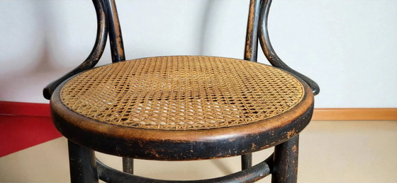 Sillón Thonet No. 6003 – Sillones, Wood (photo 8 of 11)