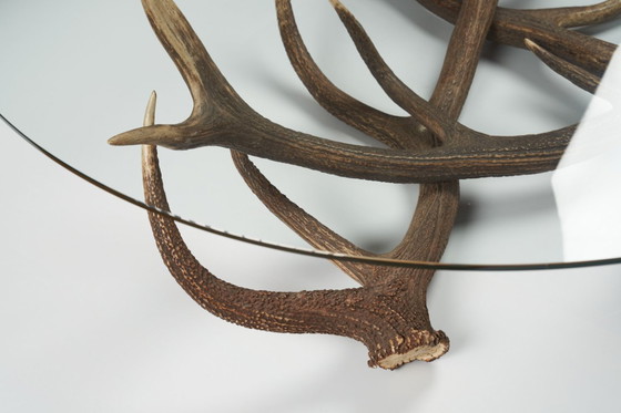 Image 1 of Mesa de centro de cuerno con estante de cristal transparente