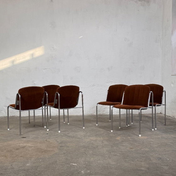 Image 1 of Dodo Chair - Hungarian Mid-Century Design, 1960s