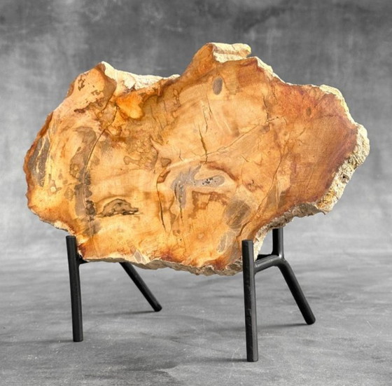 Image 1 of Bois fossilisé de Sooka, fabrication sur mesure standard (nouveau)