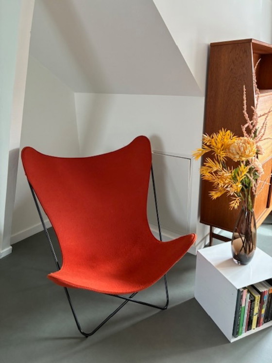 Image 1 of Fauteuil papillon Knoll / Anniversaire – Jorge Ferrari Hardoy (1938) – acier noir / feutre orange