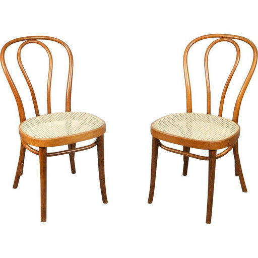 Paar vintage stühle No.218 von Michael Thonet