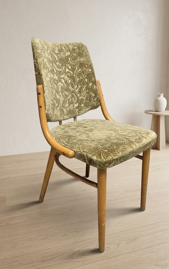 Image 1 of Bentwood Dining Chairs set of 4, Retro Beech Wood & Olive Velour Chair, TON 1960s–1970s, Czechoslovakia