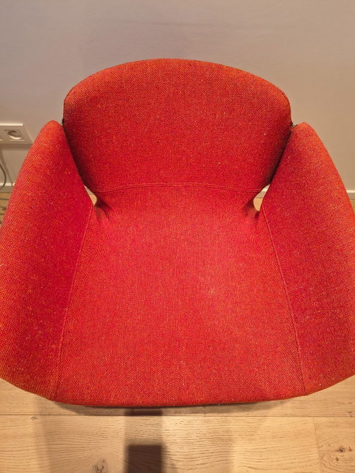 Bloomy, fauteuil Moroso (IT) par Patricia Urquiola