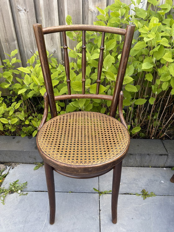 Image 1 of 8 vintage Thonet stijl bistro stoelen Romania webbing zitting
