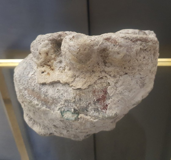 Image 1 of Grande conchiglia fossile (1,4 kg) – Lumaca di mare pietrificata – Decorazione naturale vintage – Pezzo unico