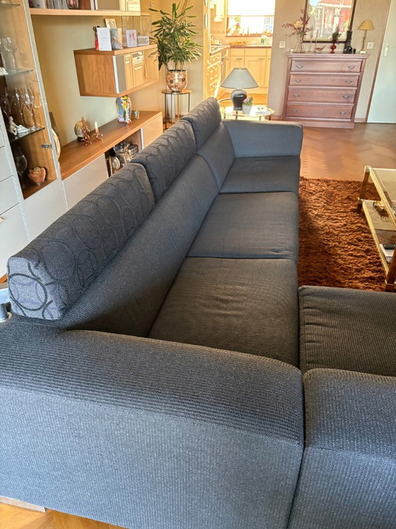 Divano angolare Leolux antracite, Divani angolari, Tessile, Grigio, Modern (foto 3 di 5)