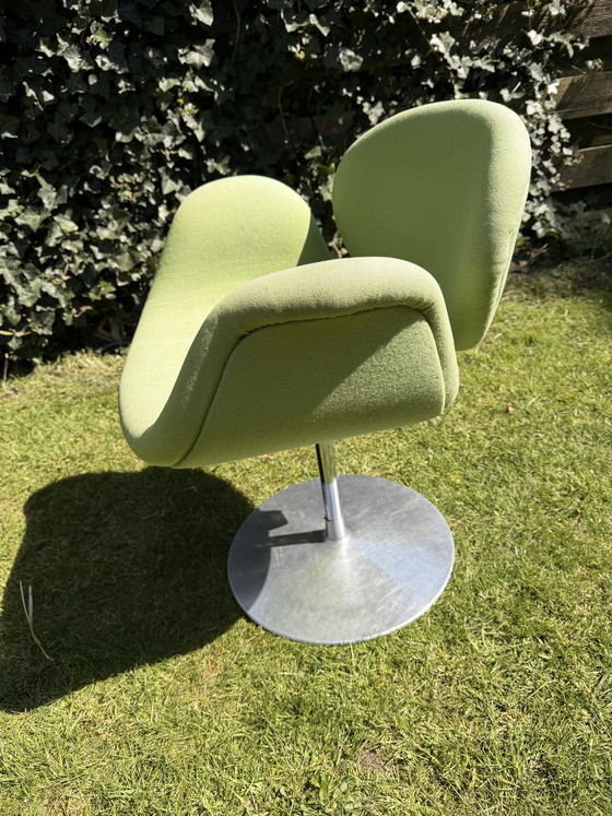 Image 1 of Little tulip (green)