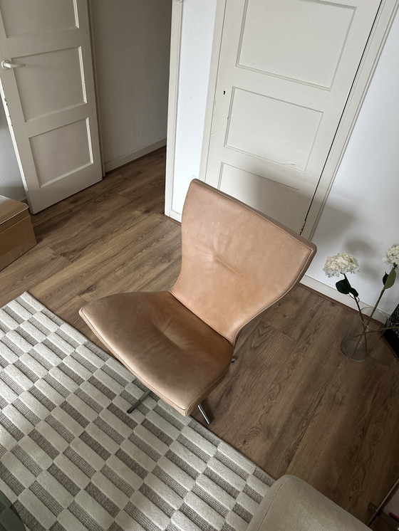 Image 1 of Sedia girevole in pelle Conform Gyro