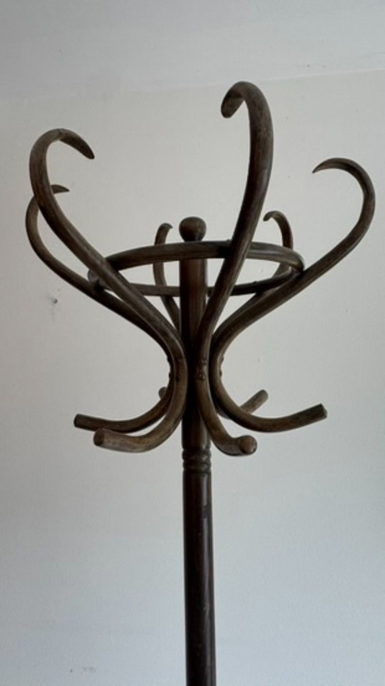Appendiabiti da terra Thonet vintage – Legno (photo 2 of 8)