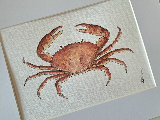 Image 1 of Original watercolor crab in black frame