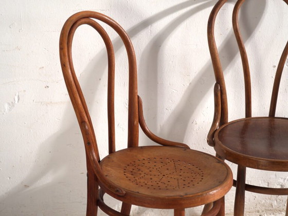 Pair of antique chairs in Thonet bentwood – Central Europe, circa 1930 #9 – Dining chairs (photo 18 of 40)