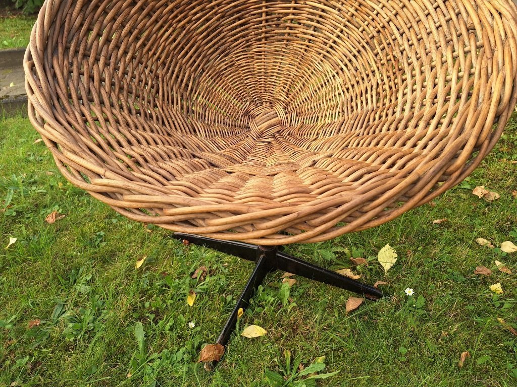 xxl bananenpflanze XXL Bananenpflanze - Musa | 250 cm