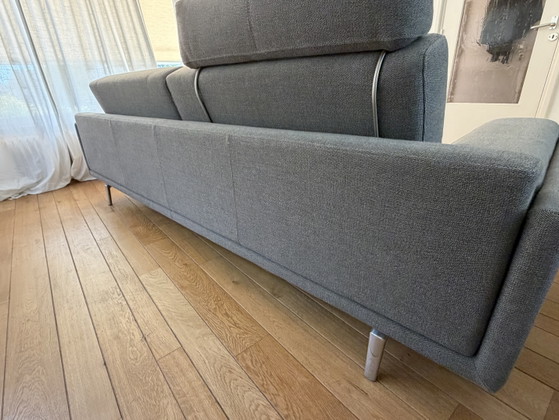 Leolux Bellice Gris 255 cm – Sofás, Metal, Textile (photo 5 of 6)